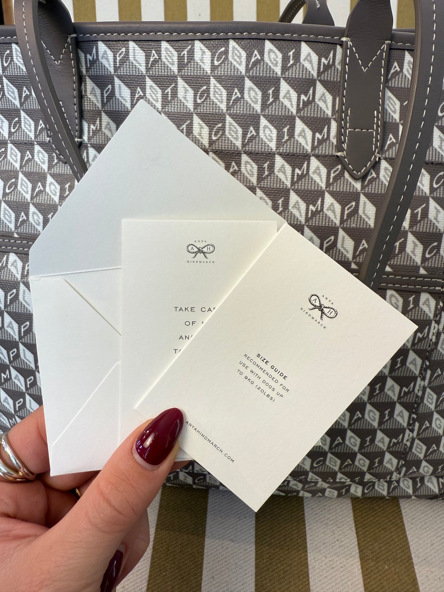 Anya Hindmarch Dog Tote