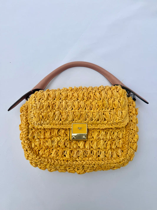 Anya Hindmarch Neeson Raffia Bag